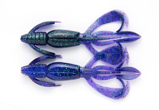 Electric June Bug CF